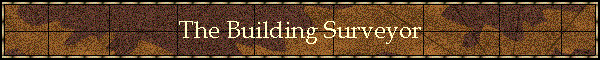 The Building Surveyor